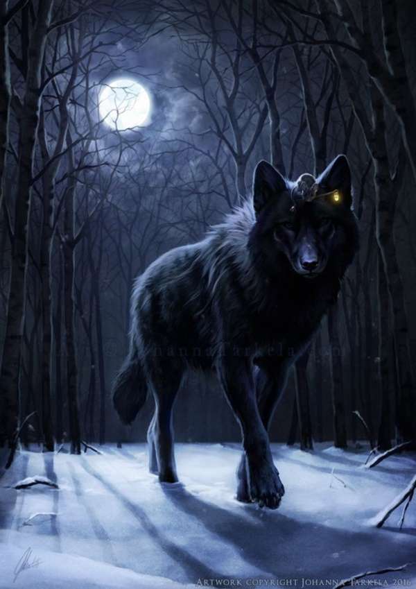 Majestic Wolf kirakós online