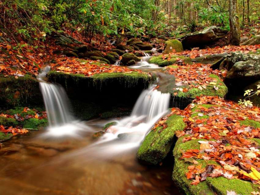 Cascade dans la forêt d'automne puzzle en ligne