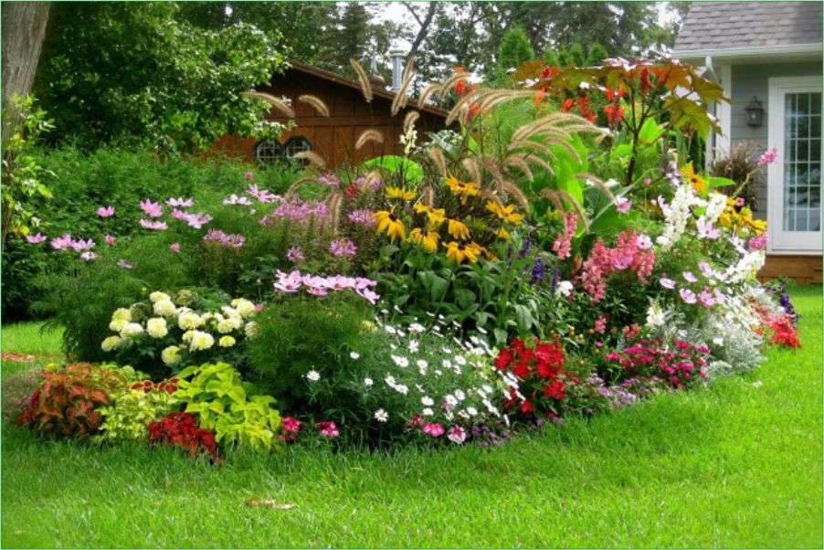 Un giardino roccioso con i fiori puzzle online