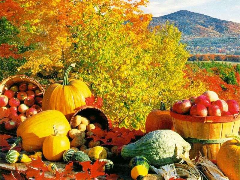 Есенна реколта онлайн пъзел
