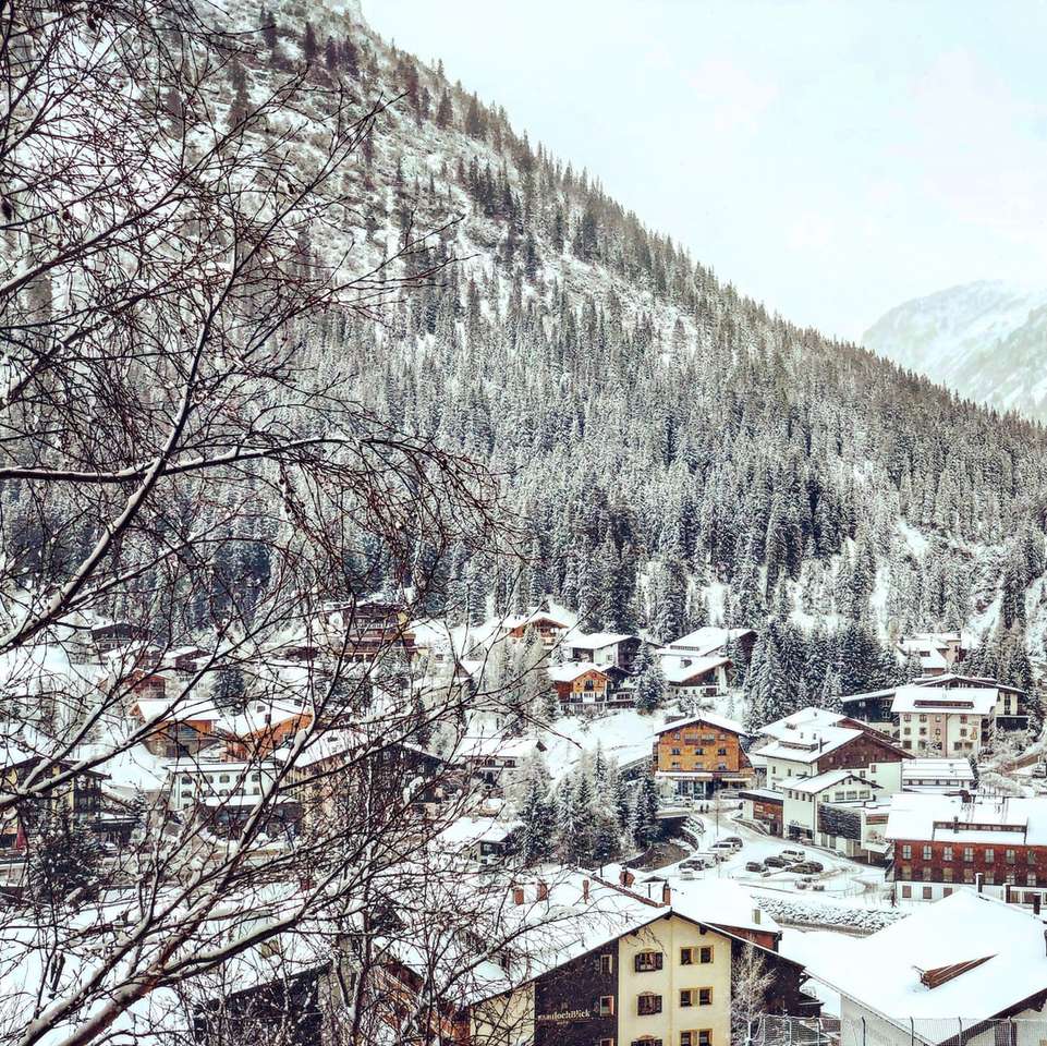 casas marrons e brancas perto de montanha coberta de neve puzzle online