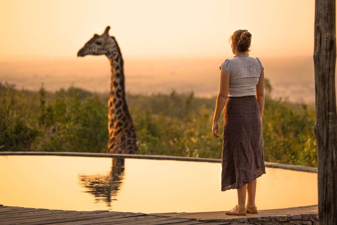 Frau, die braune Giraffe mit Reflexion über Wasser betrachtet Online-Puzzle
