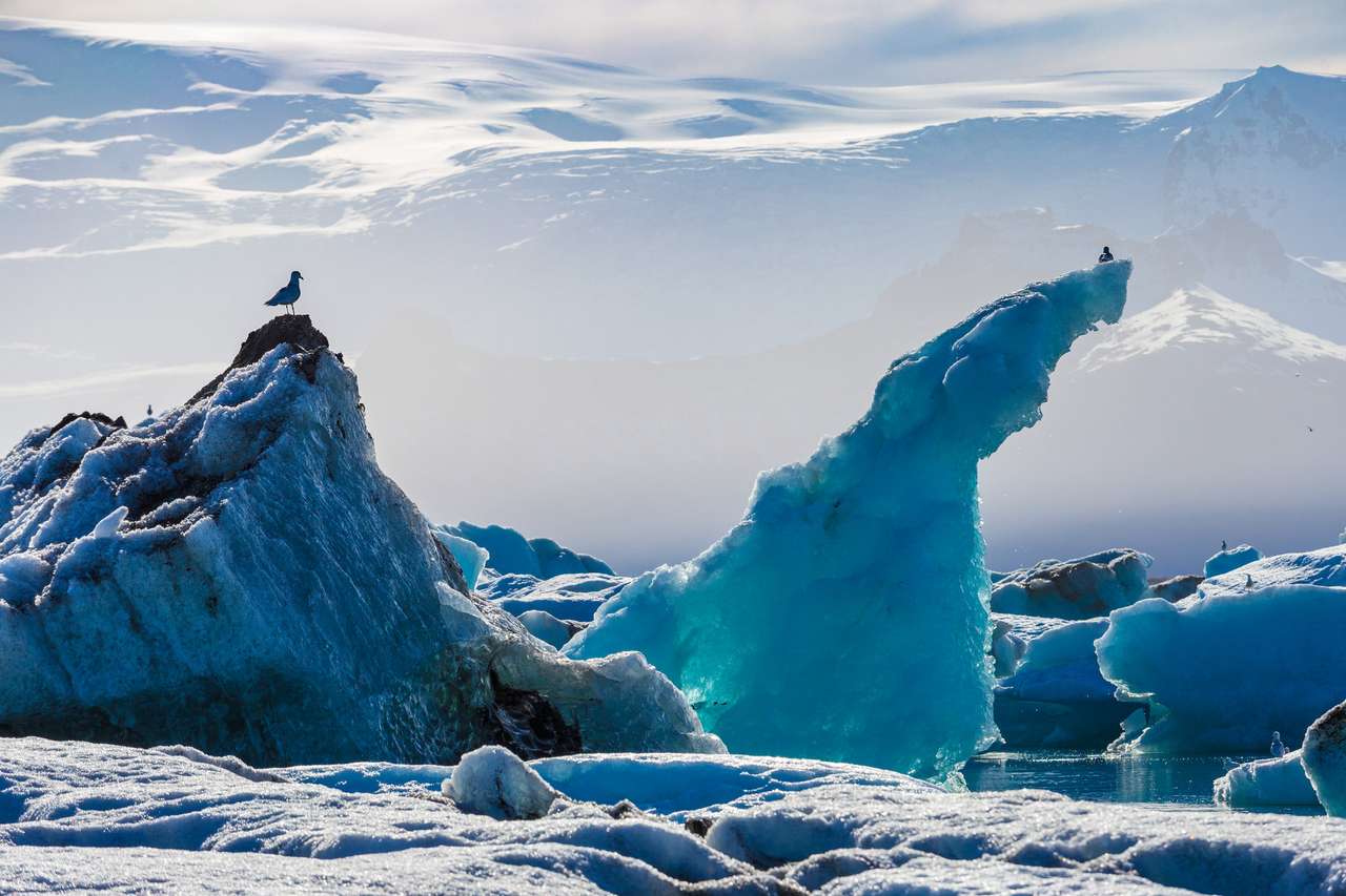 Isberg i Glacial Lagoon Jokullsarlon pussel på nätet