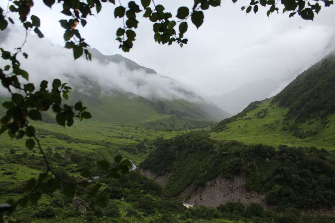 munți verzi sub nori albi în timpul zilei jigsaw puzzle online