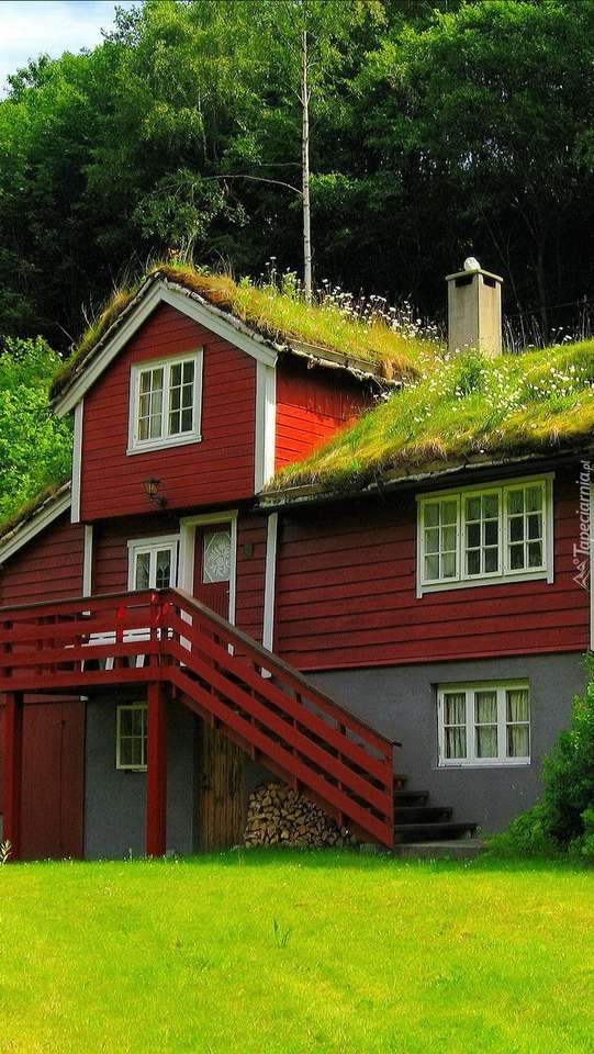 Uma casa coberta de musgo na Noruega quebra-cabeças online