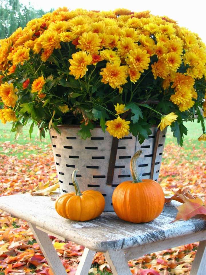 basket with chrysanthemums jigsaw puzzle online