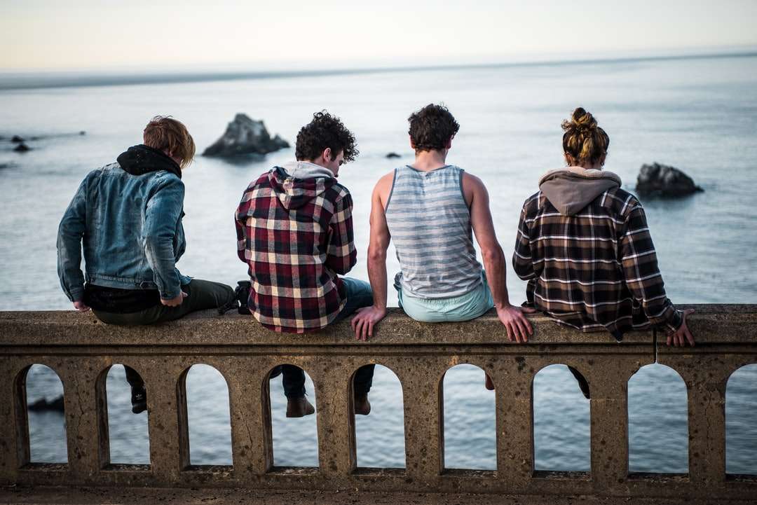 four person sitting on bench in front of body of water online puzzle