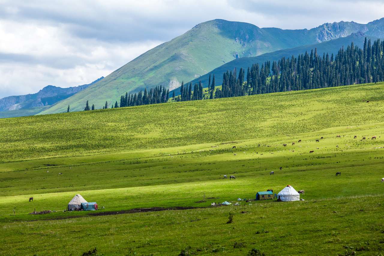 gräsmark i Xinjiang pussel på nätet
