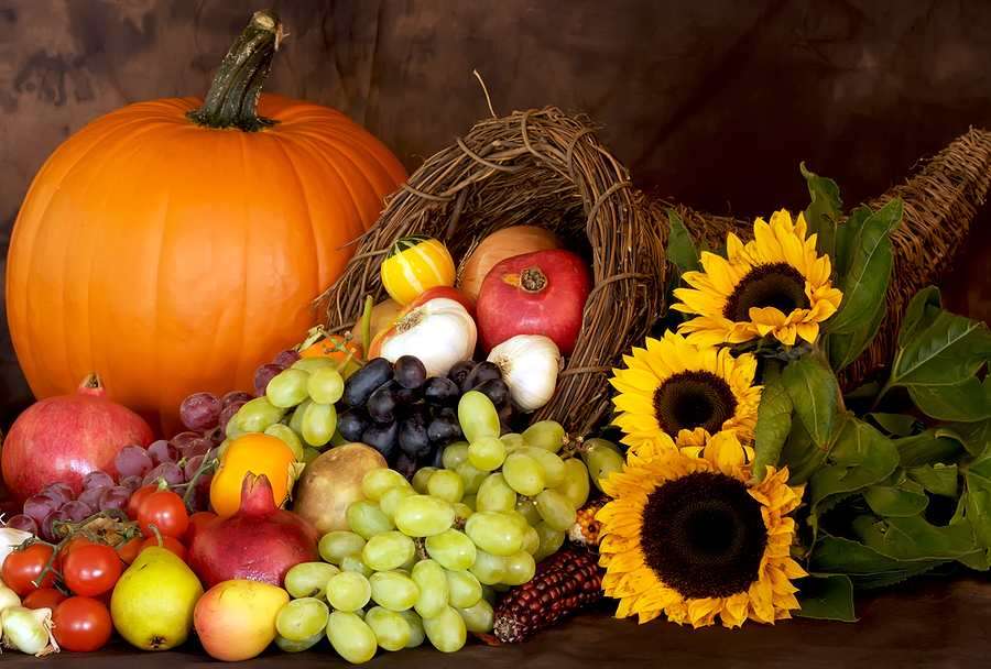 Autumn harvest online puzzle