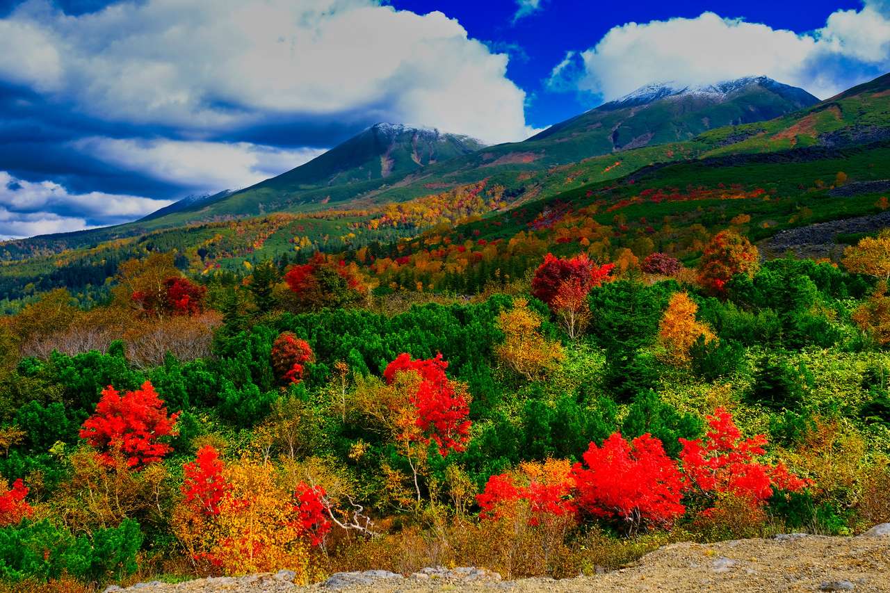 Hojas de otoño del monte Tokachi rompecabezas en línea