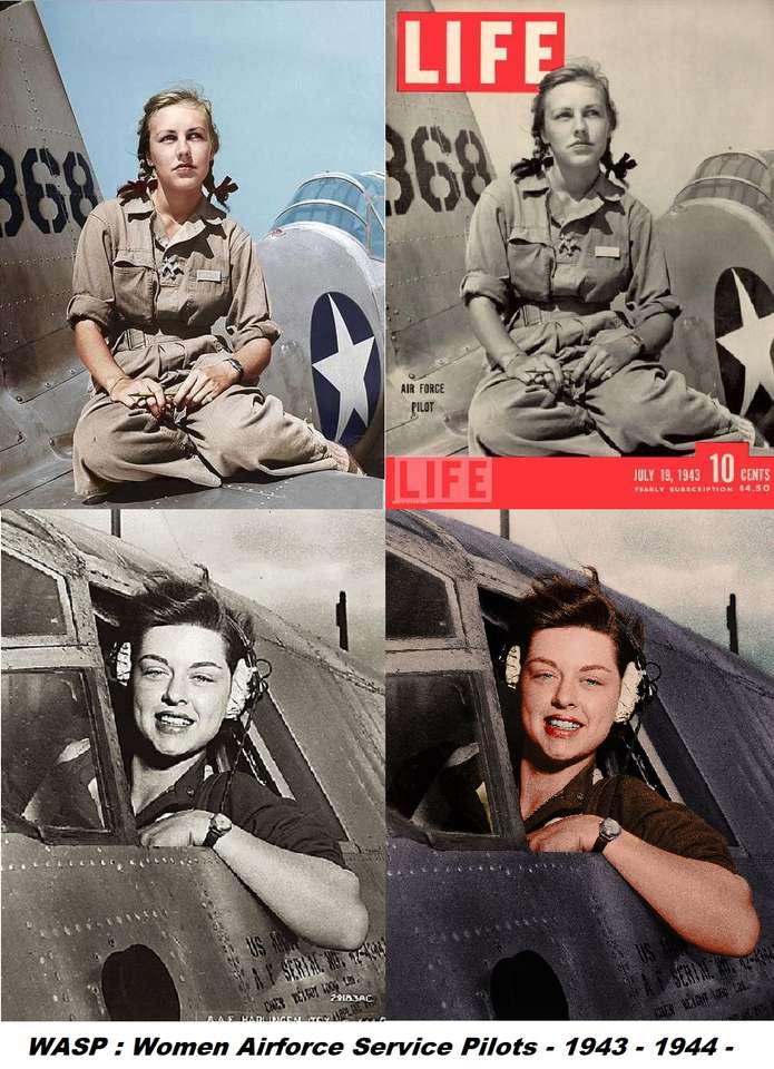 WASP: Pilota di servizio dell'aeronautica femminile - USA puzzle online
