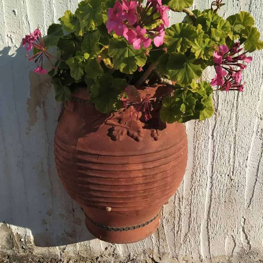 vaso di fiori con fiori sul muro puzzle online