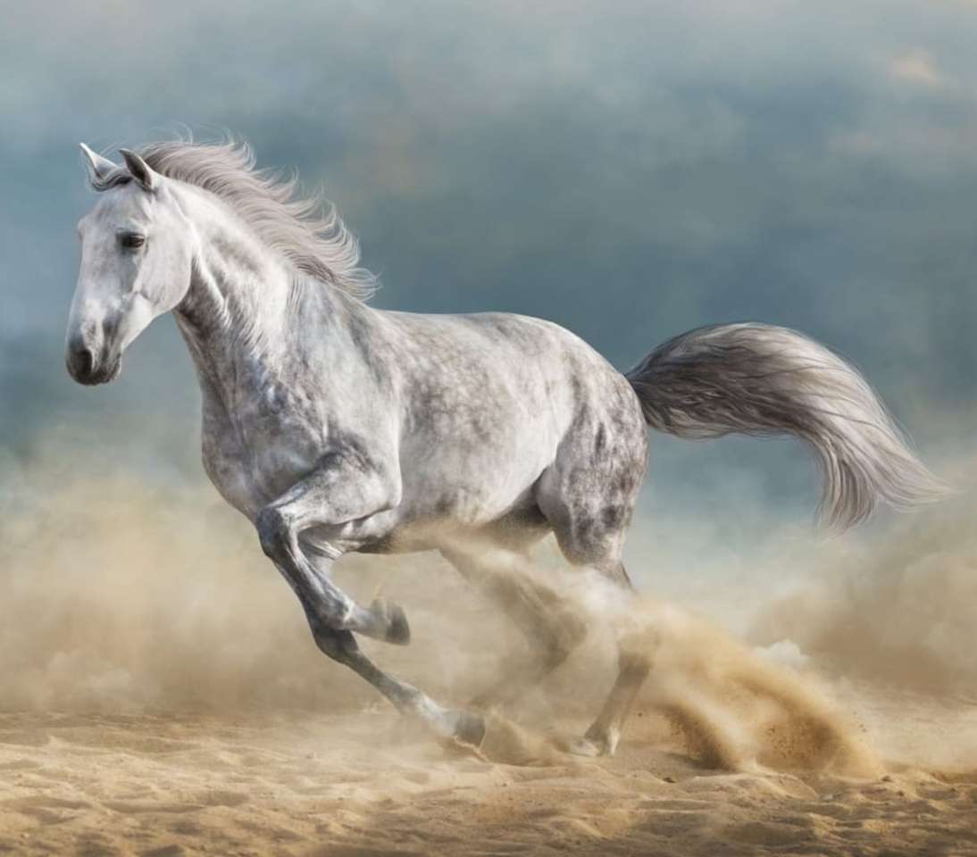 Ένα άσπρο άγριο άλογο online παζλ