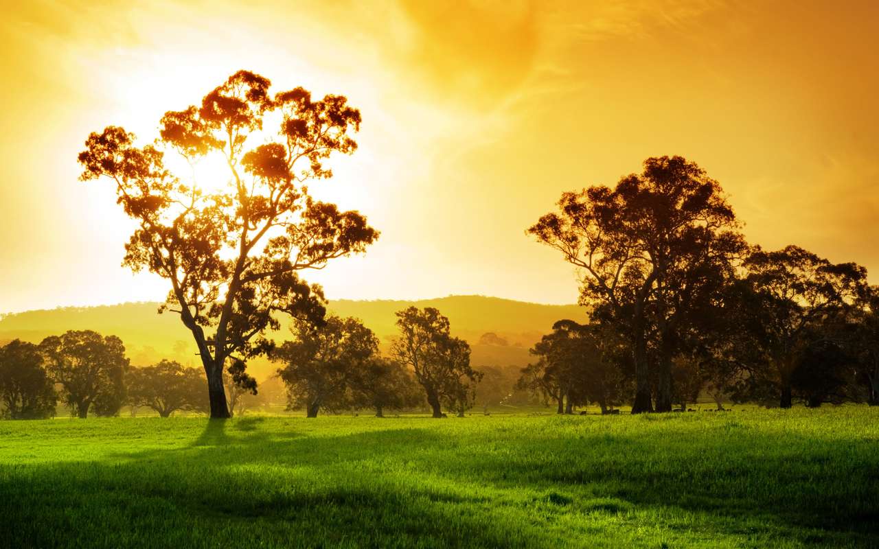 Wunderschönes ländliches Feld in Südaustralien Online-Puzzle