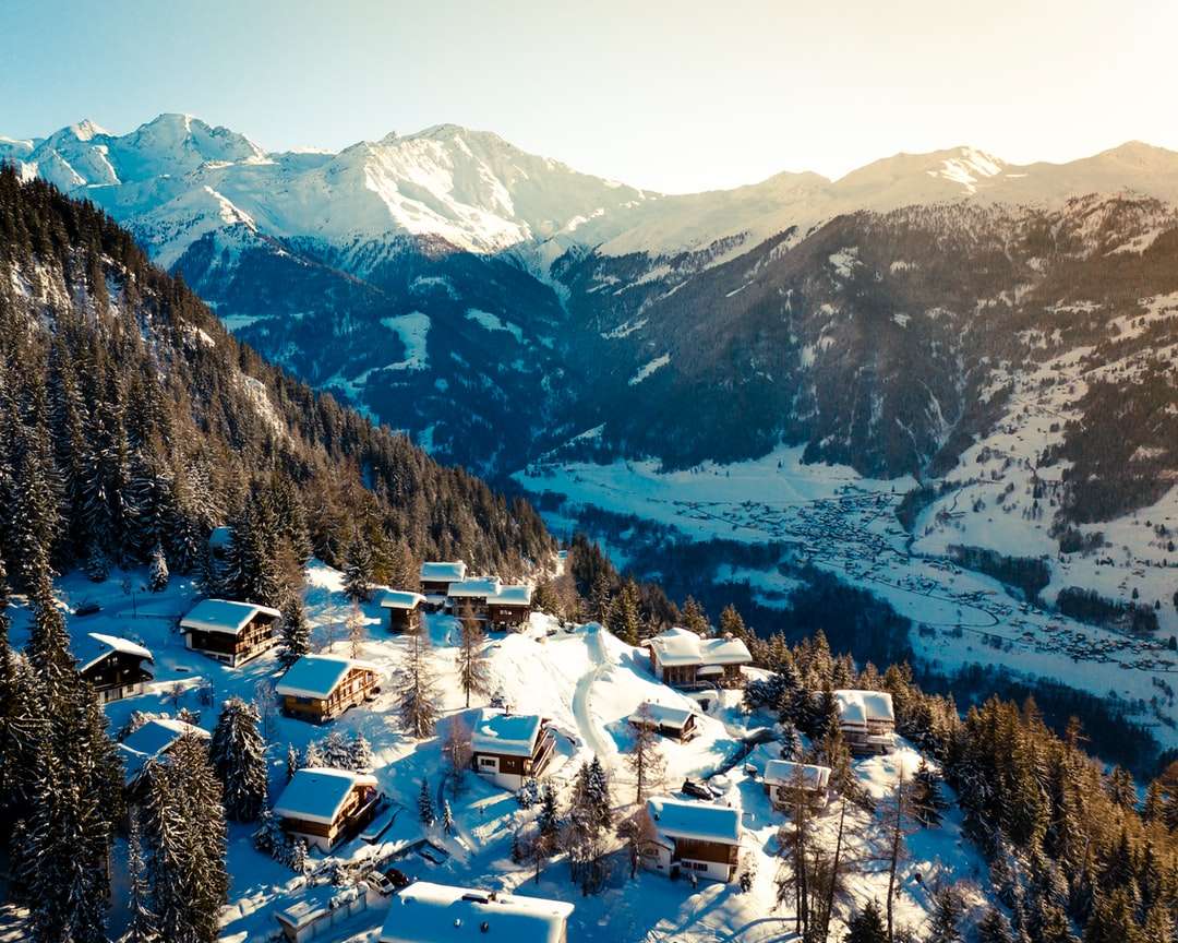 sněhem pokryté domy vedle zelených borovic online puzzle