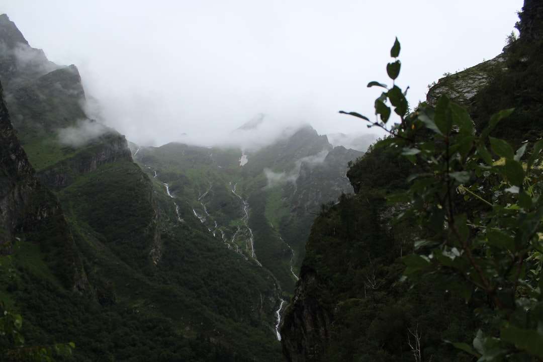 зелени планини, покрити с мъгла онлайн пъзел