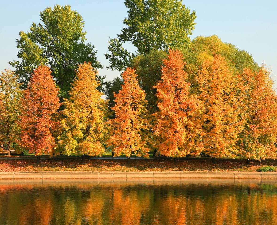 městský park na zlatém podzimu, září, ráno online puzzle