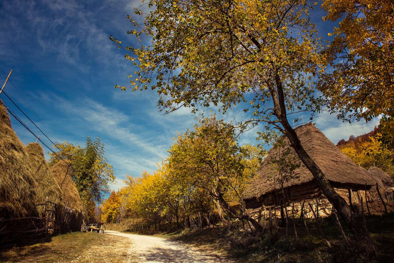 Horská podzimní krajina s barevným lesem. skládačky online