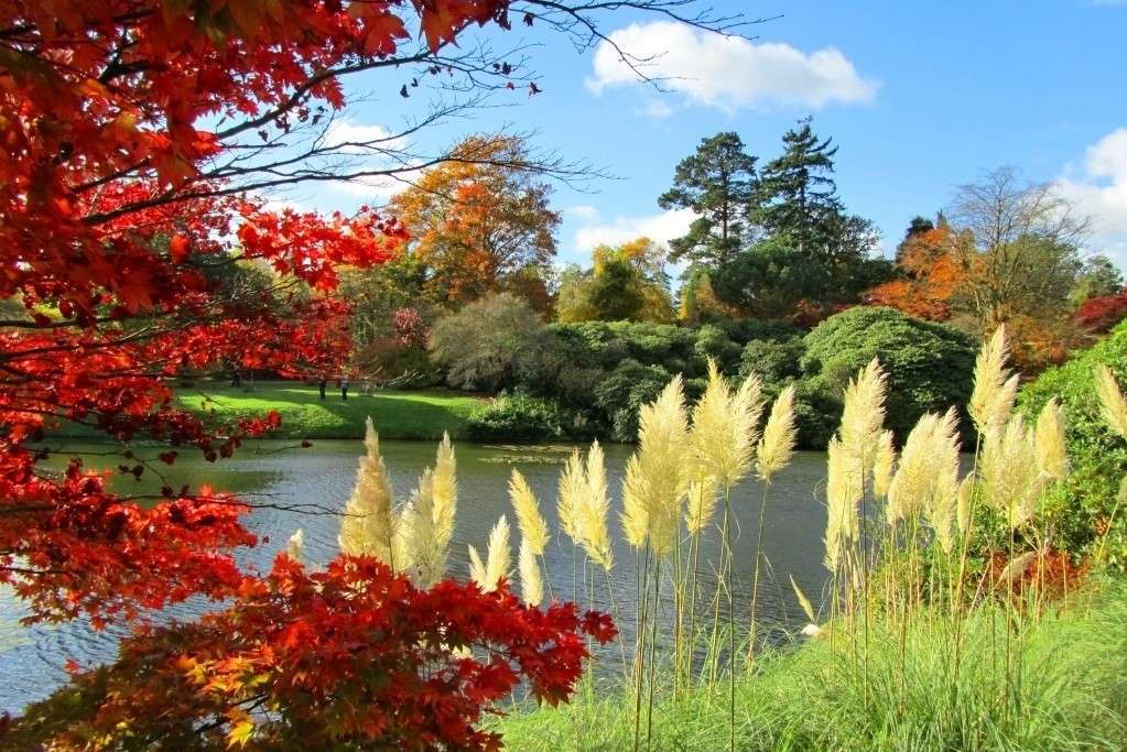 Podzim v parku s jezerem skládačky online