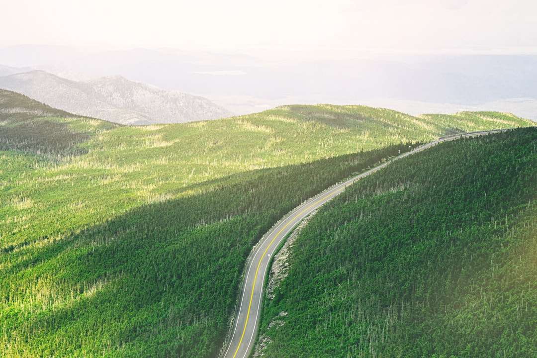 αεροφωτογραφία του δρόμου ανάμεσα σε πράσινα δέντρα παζλ online