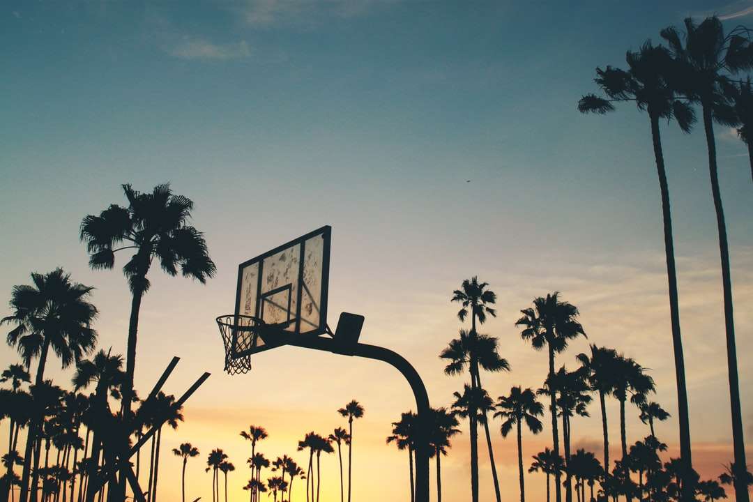 silhouette photo of basketball system jigsaw puzzle online