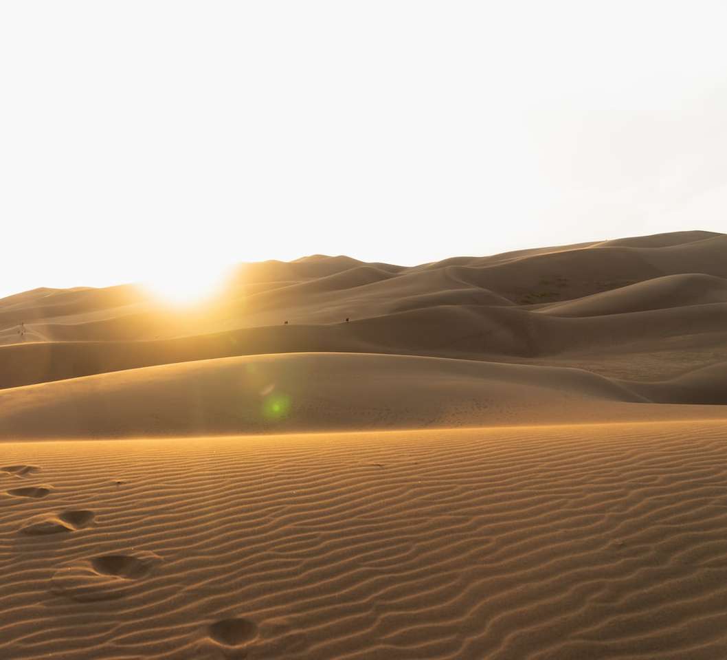 пясъчни дюни под бяло небе през деня онлайн пъзел