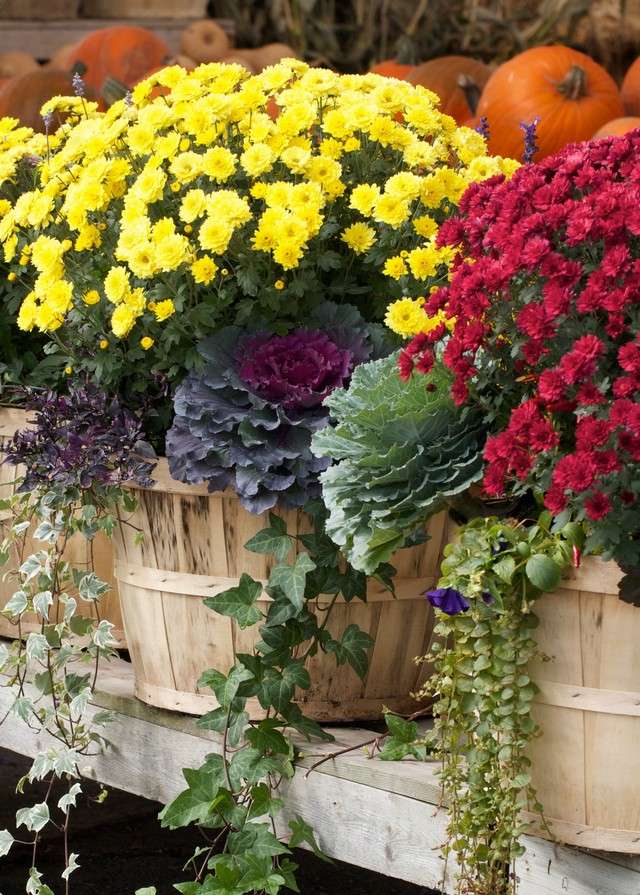 Bloemen op het balkon in de herfst online puzzel