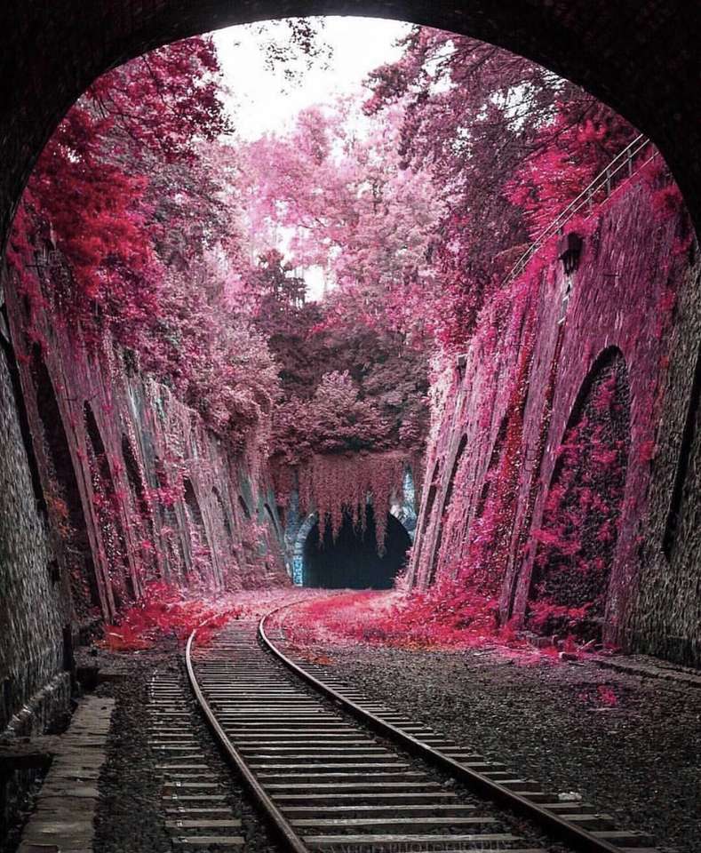 autumn tunnel online puzzle