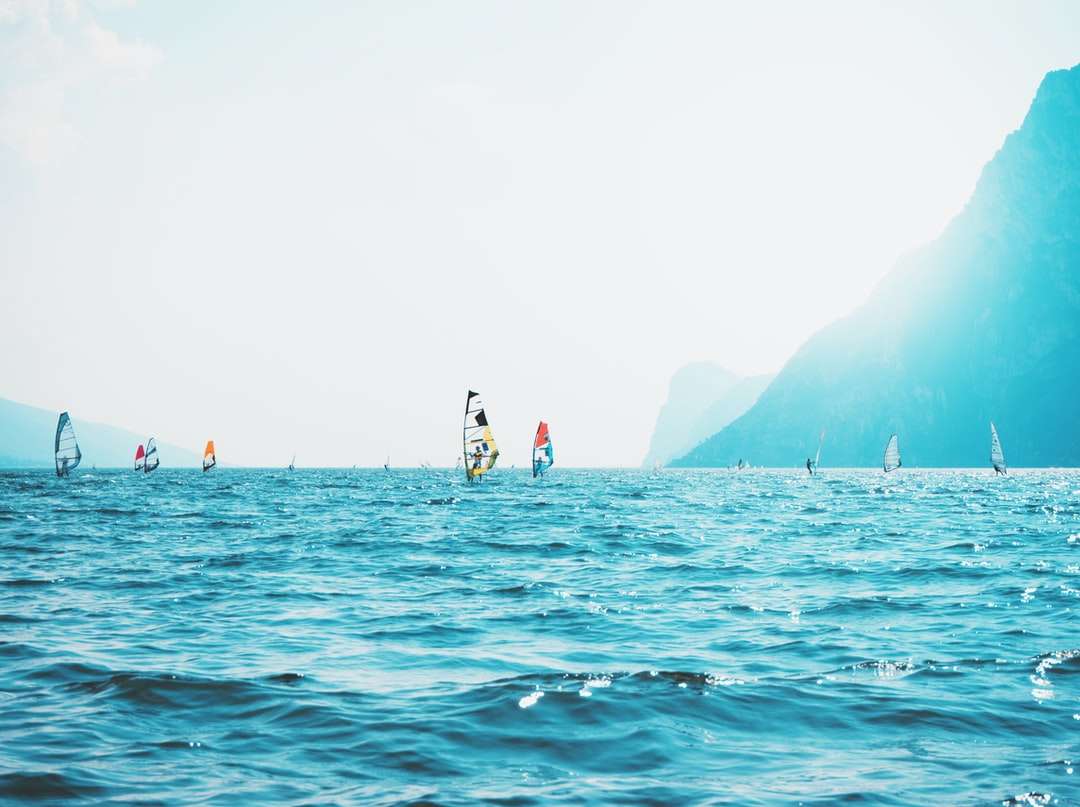 surfistas de vento em corpo d'água puzzle online