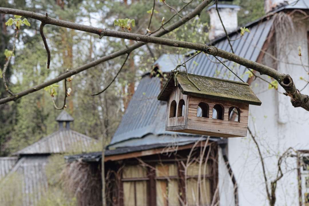 maison en bois bleu et marron sur une branche d'arbre marron puzzle en ligne