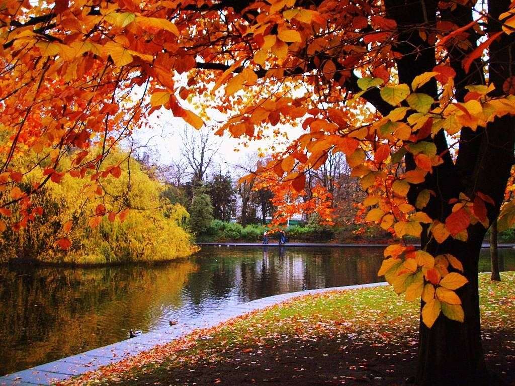 autumn in the park online puzzle