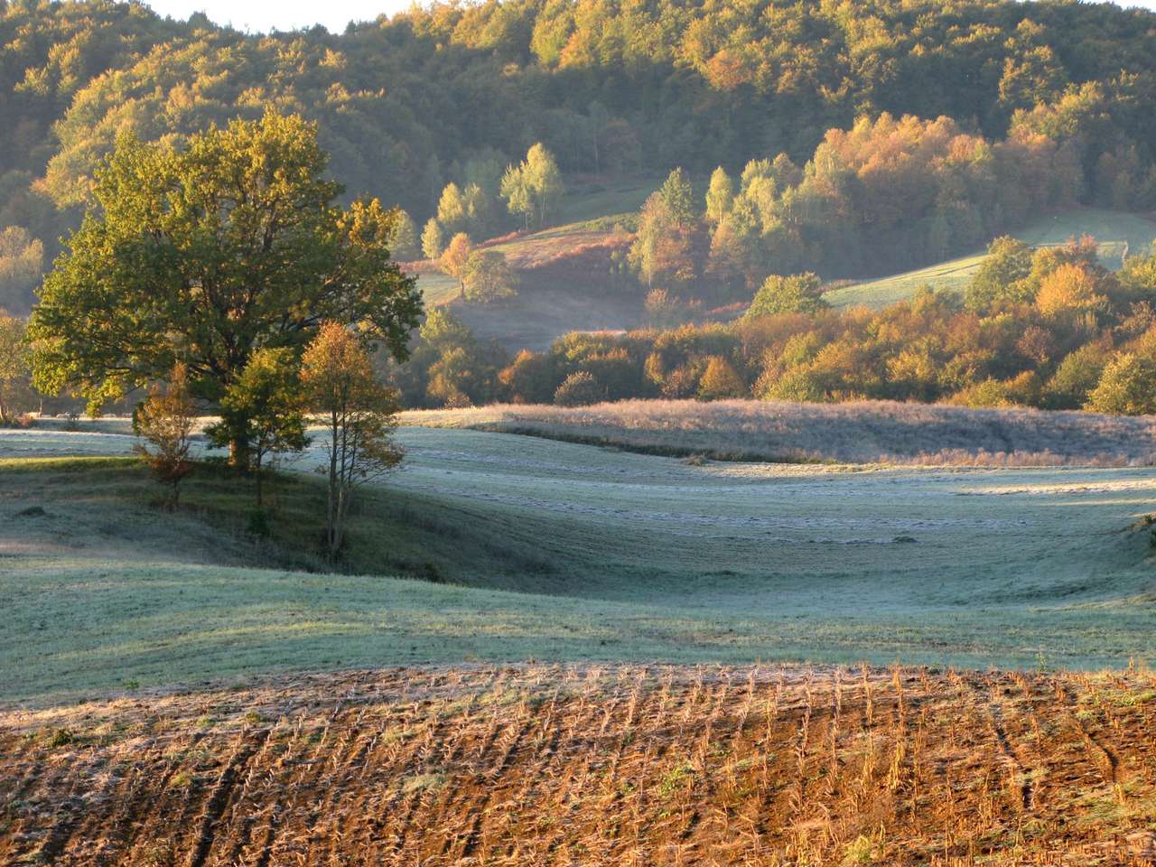 Красивый загородный пейзаж раннего утра в Боснии пазл онлайн