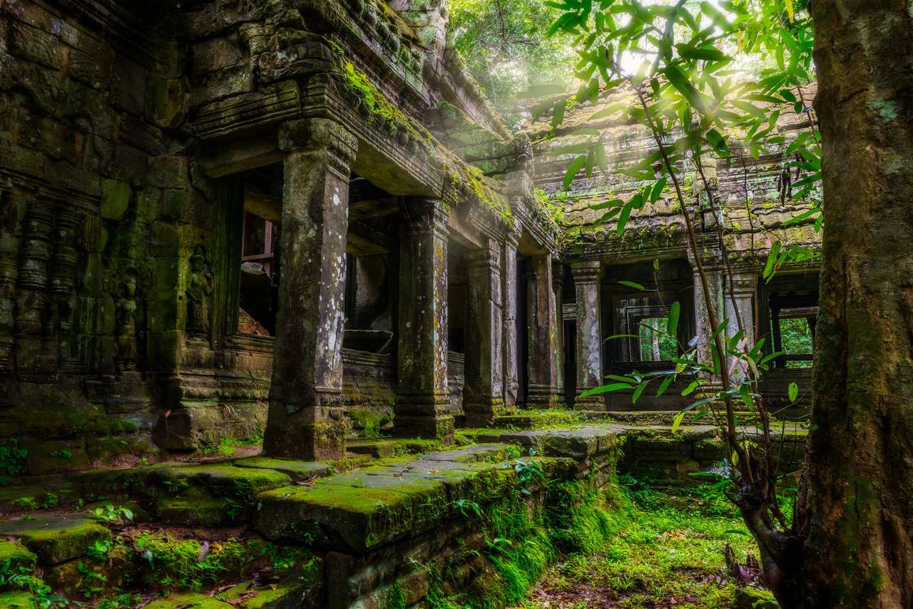 Tra le rovine di Preah Khan a Siem Reap, Cambogia. puzzle online