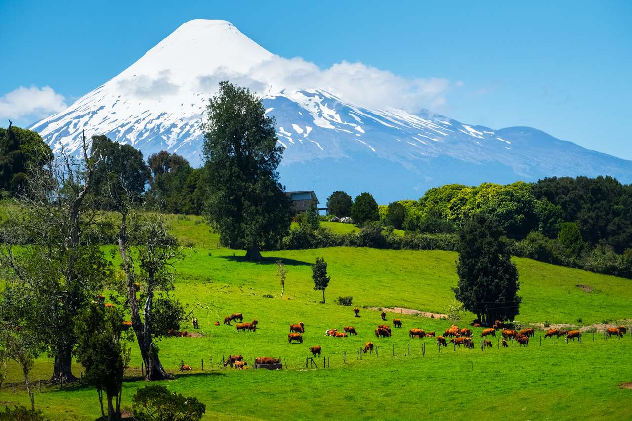 Vulcanul din Osorno, Chile jigsaw puzzle online