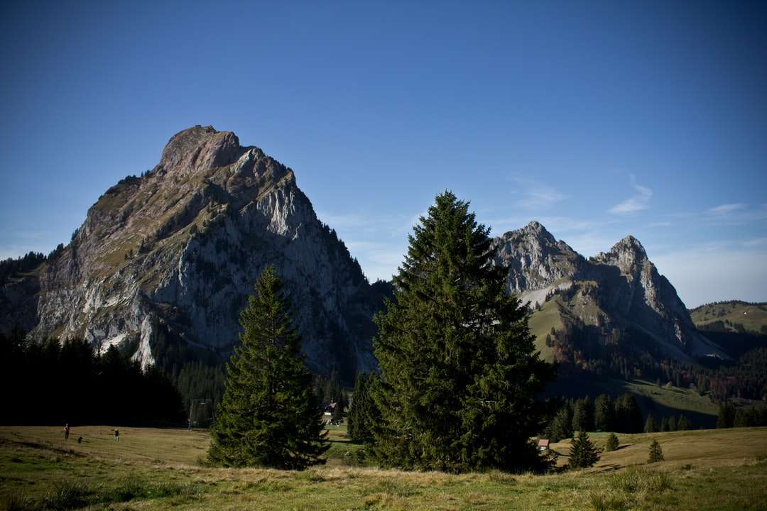 pinheiros verdes perto da montanha sob o céu azul durante o dia puzzle online