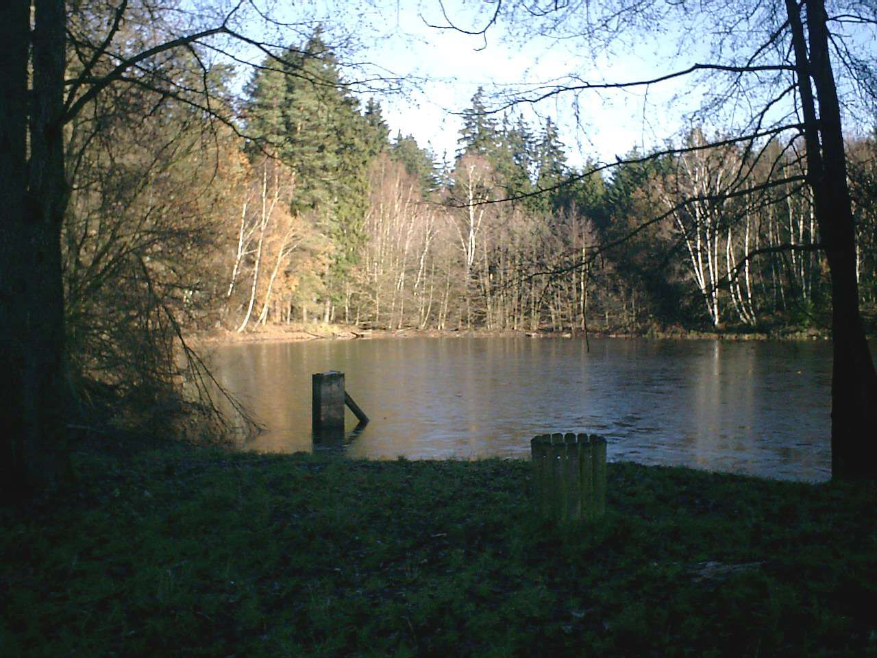 Лісове озеро Айхенцелль пазл онлайн