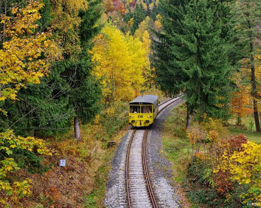 Chemin de fer d'Izerka dans la forêt d'automne puzzle en ligne