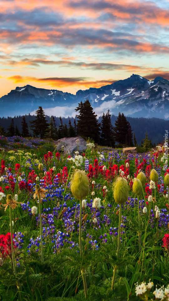 Meadow overlooking the mountains jigsaw puzzle online