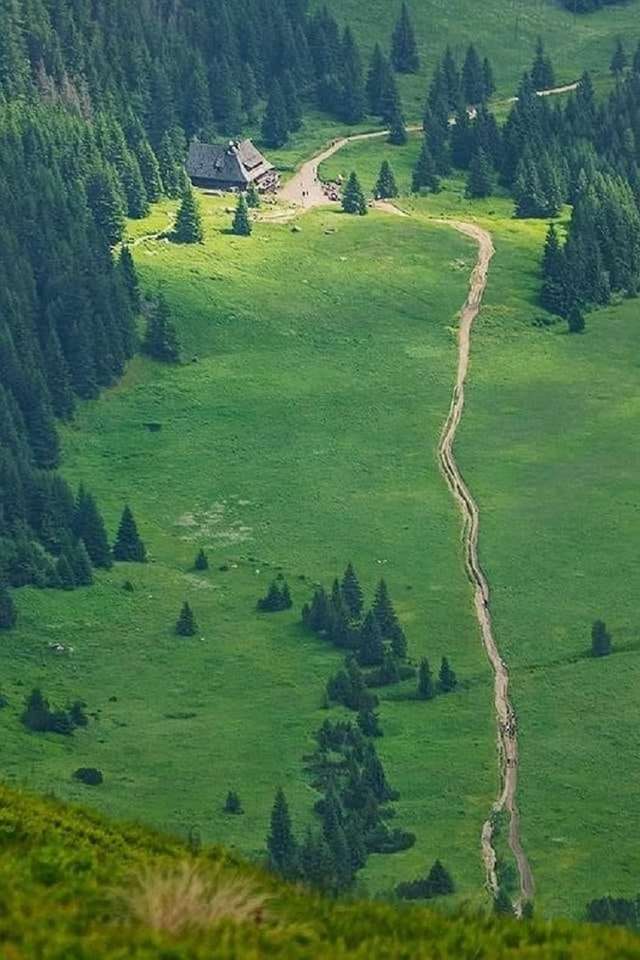 Clareira de Kondratowa nas montanhas Tatra. quebra-cabeças online