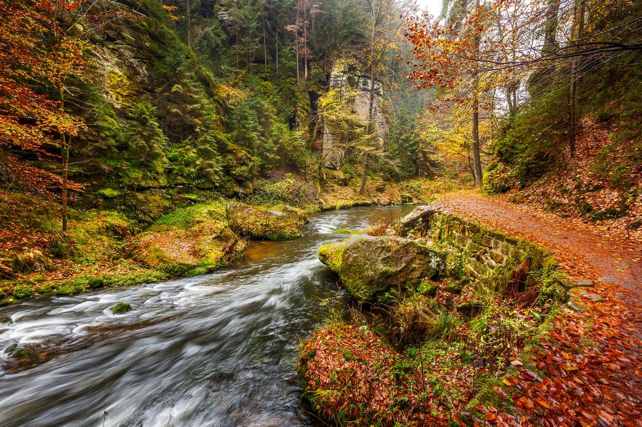 Die Kamnitzklamm im Nationalpark Sächsische Schweiz Online-Puzzle
