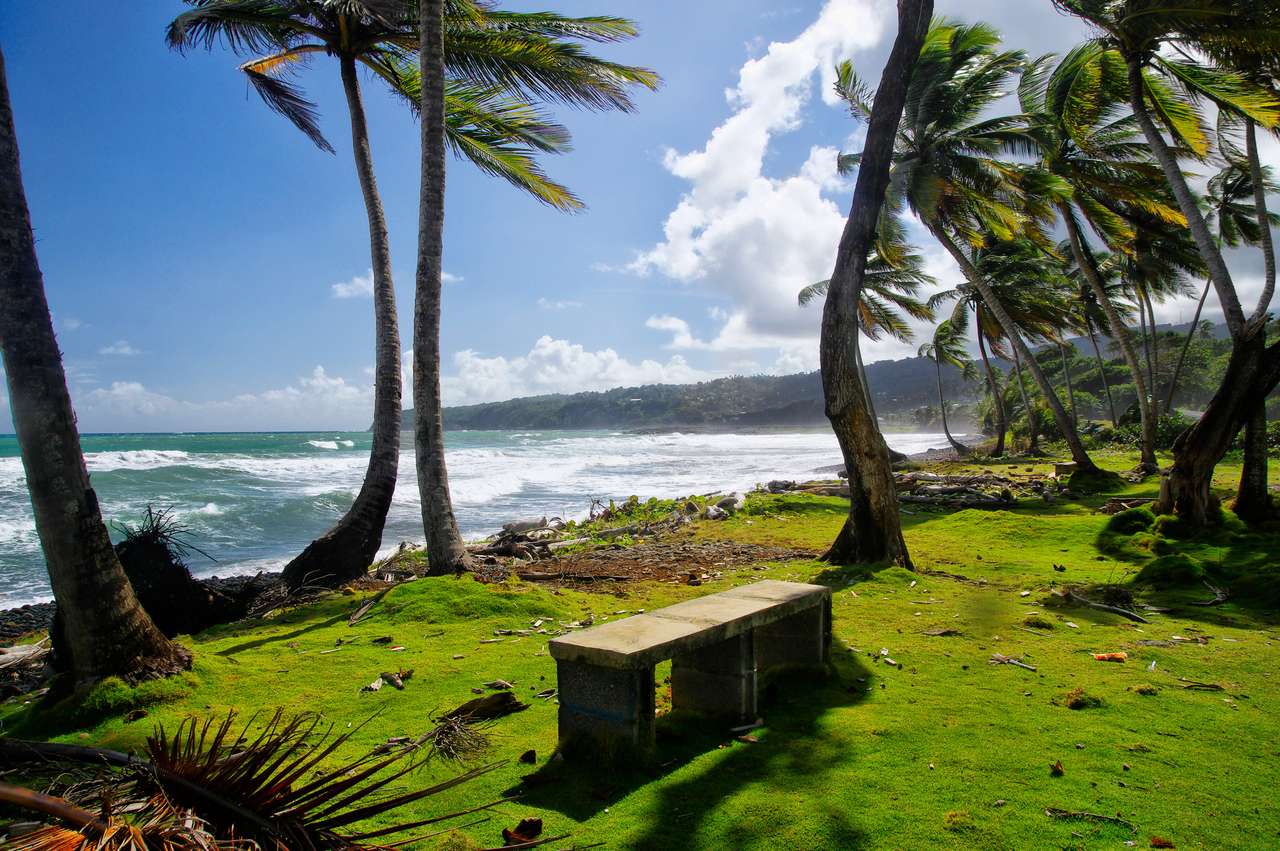 wilder Strand an der Bucht von Londonderry, Insel Dominica Puzzlespiel online