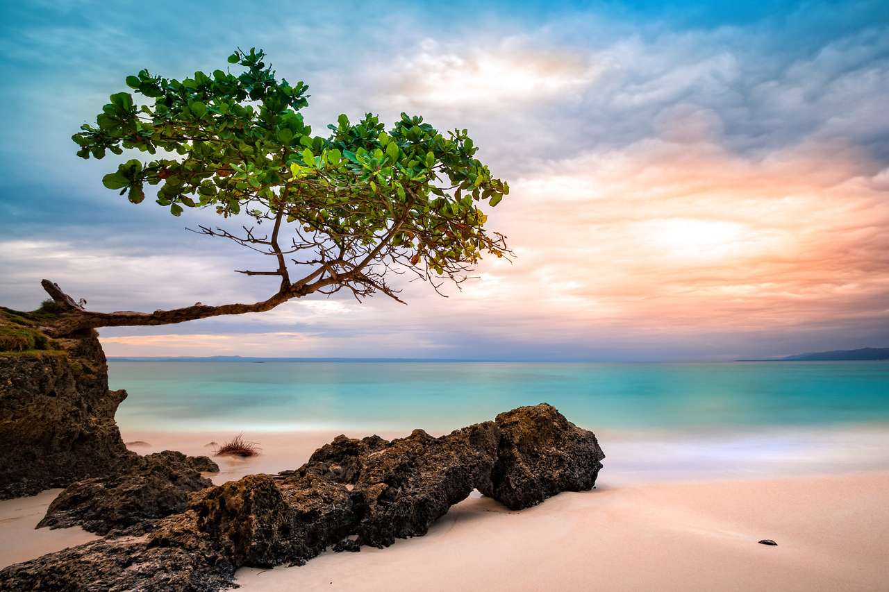 Esotico paesaggio marino Spiaggia caraibica puzzle online