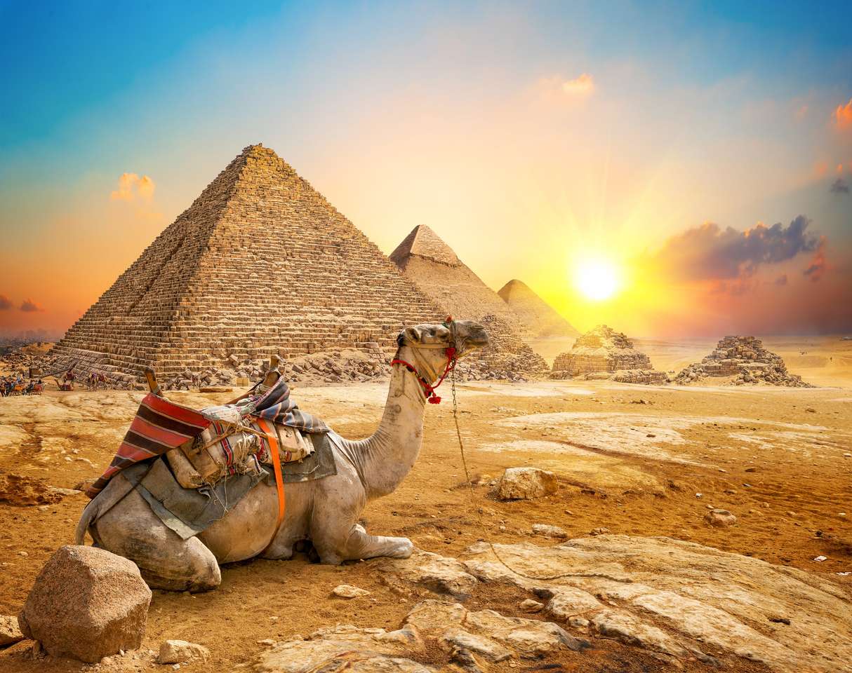 Kamel och pyramider Pussel online