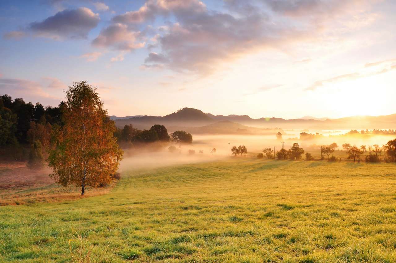 Φθινοπωρινή ομίχλη και ο όμορφος πρωινός ήλιος σε ένα τοπίο παζλ online
