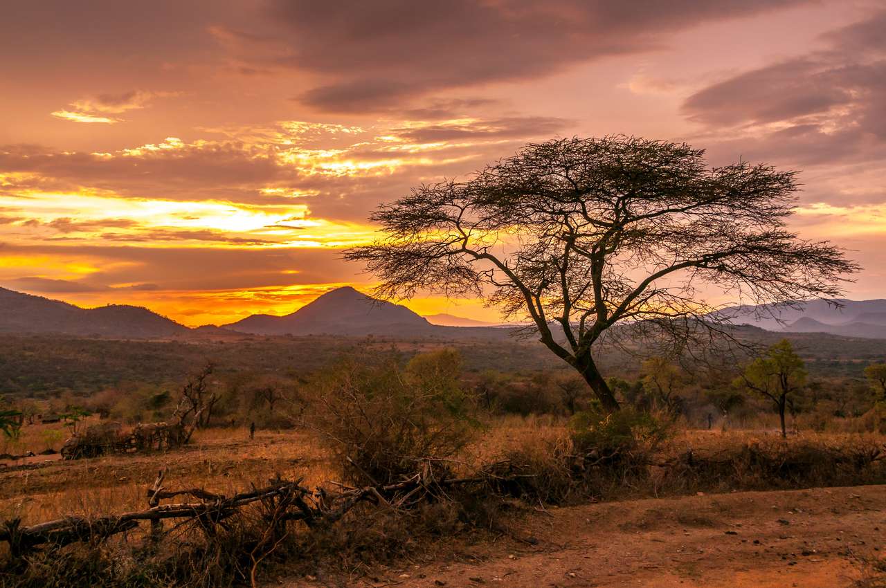 エチオピアのバナ族の領土の夕方の景色 ジグソーパズルオンライン