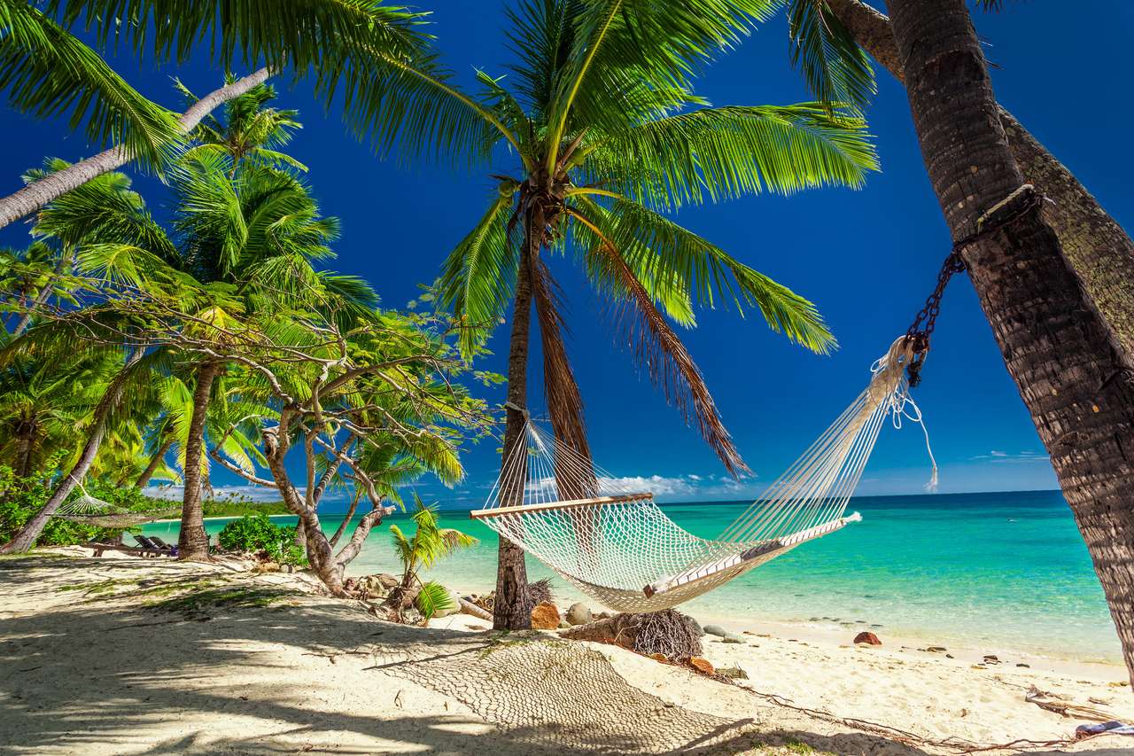 палмови дървета на тропическите острови Фиджи онлайн пъзел