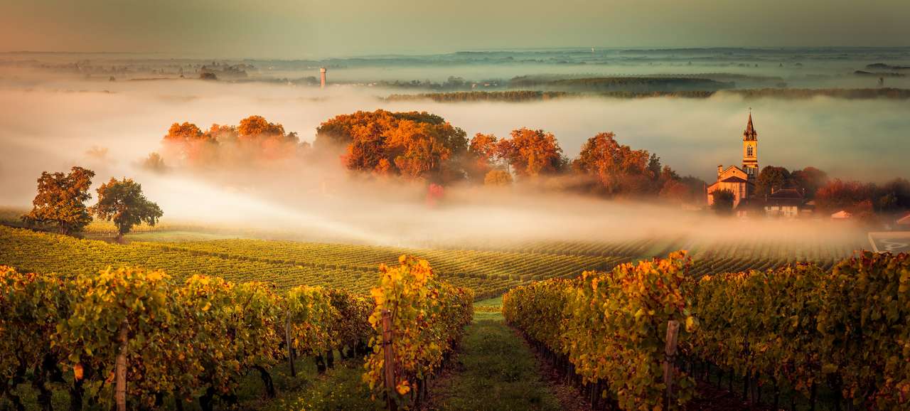 Západ slunce a smog ve vinicích v Bordeaux skládačky online