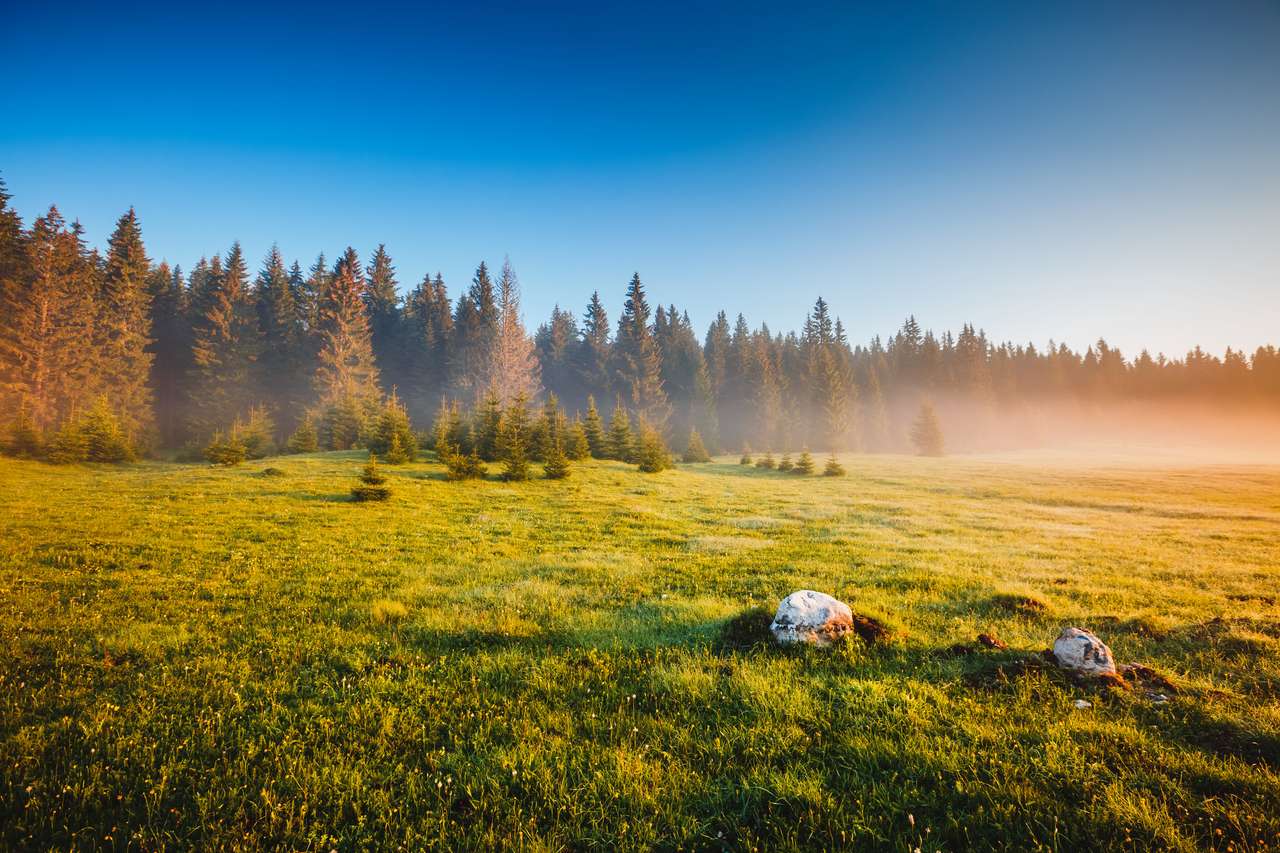 Mlhavá ranní pastvina na slunci. skládačky online