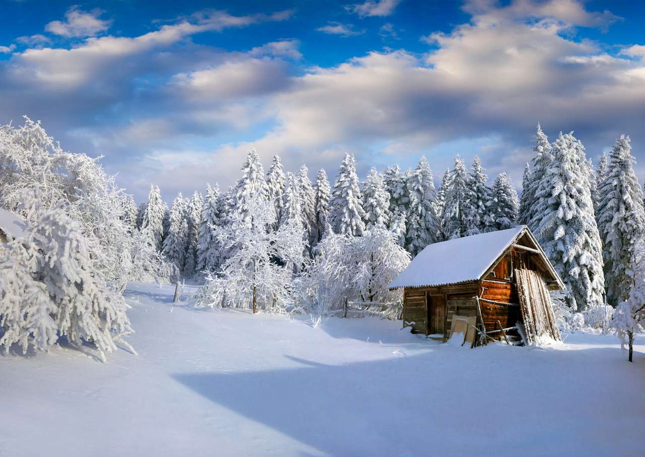 Matin d'hiver ensoleillé dans le village des Carpates puzzle en ligne