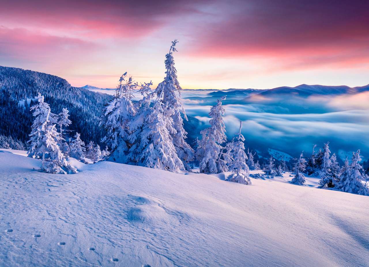 Montanhas dos Cárpatos com pinheiros cobertos de neve quebra-cabeças online
